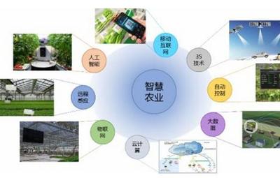 智慧農業的數據網絡技術與物聯網應用服務切入路徑